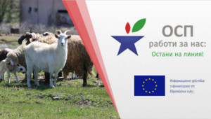 Онлайн семинар: Овцевъдство и козевъдство в преходния период на ОСП