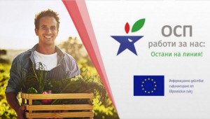 Онлайн семинар: Овощарство и зеленчукопроизводство в преходния период на ОСП