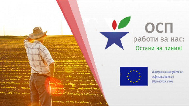 Онлайн семинар: Зърнопроизводството в преходния период на ОСП