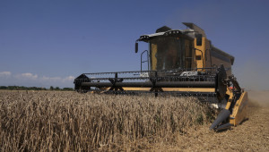 Таванът на плащанията и зърнопроизводството в новата ОСП