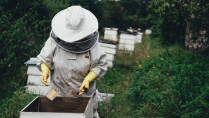 Пчелари, запознайте се с планираните ставки за опрашване и биологично пчеларство